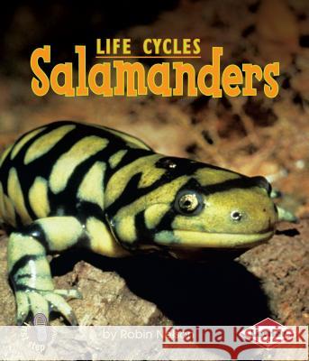 Salamanders Robin Nelson 9780761341086 Lerner Classroom