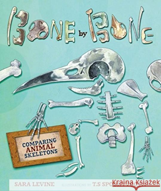 Bone by Bone: Comparing Animal Skeletons Sara C. Levine T. S. Spookytooth 9780761384649