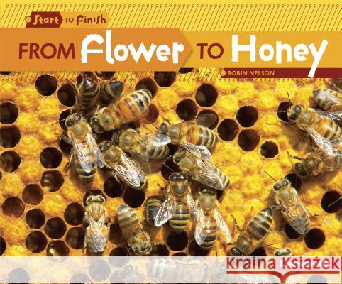 From Flower to Honey Robin Nelson   9780761385745 Lerner Publications