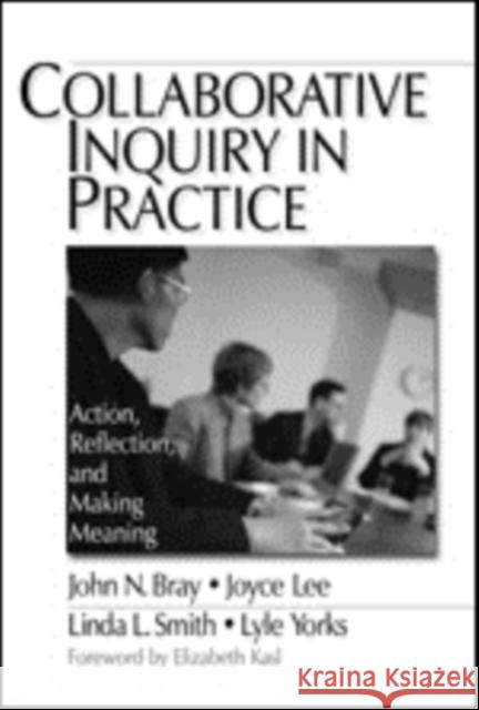 Collaborative Inquiry in Practice: Action, Reflection, and Making Meaning Bray, John 9780761906476 Sage Publications