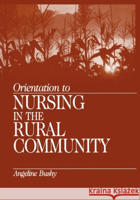 Orientation to Nursing in the Rural Community Angeline Bushy 9780761911579 Sage Publications