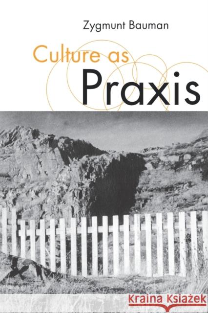 Culture as Praxis Zygmunt Bauman 9780761959892 SAGE PUBLICATIONS LTD