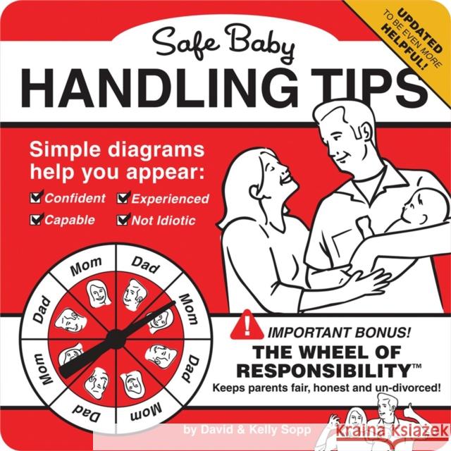 Safe Baby Handling Tips Kelly Sopp 9780762456581 Running Press,U.S.