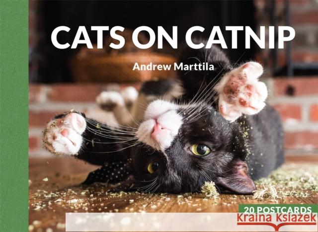 Cats on Catnip: 20 Postcards Andrew Marttila 9780762467280 Running Press,U.S.