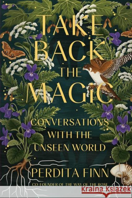 Take Back the Magic: Conversations with the Unseen World Perdita Finn 9780762482511