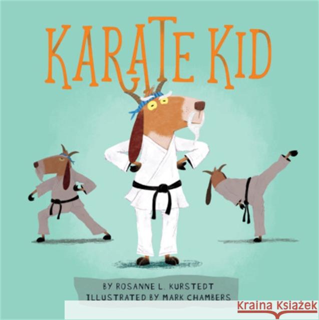 Karate Kid Rosanne L. Kurstedt Mark Chambers 9780762493432 Running Press Kids