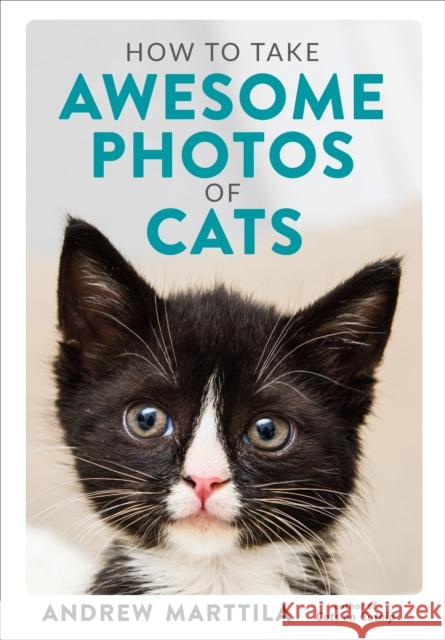 How to Take Awesome Photos of Cats Andrew Marttila 9780762495153 Running Press,U.S.