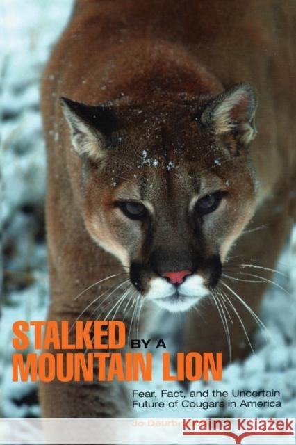 Stalked by a Mountain Lion: Fear, Fact, And The Uncertain Future Of Cougars In America, First Edition Deurbrouck, Jo 9780762743155 Falcon