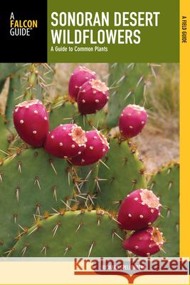 Sonoran Desert Wildflowers: A Guide To Common Plants Richard Spellenberg 9780762773688 Rowman & Littlefield