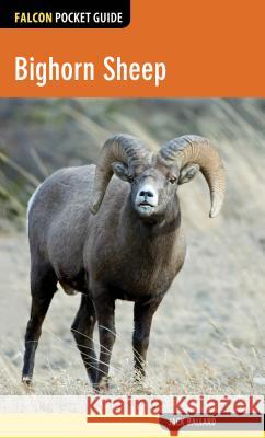Bighorn Sheep Jack, Jr. Ballard 9780762784912