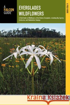 Everglades Wildflowers: A Field Guide to Wildflowers of the Historic Everglades, Including Big Cypress, Corkscrew, and Fakahatchee Swamps Roger L. Hammer 9780762787531 FalconGuide