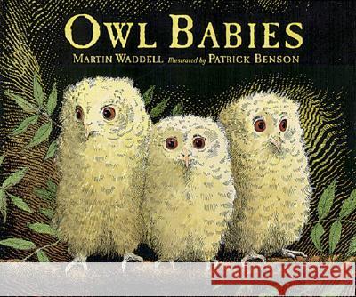 Owl Babies Martin Waddell Waddell                                  Benson 9780763612832 Candlewick Press (MA)