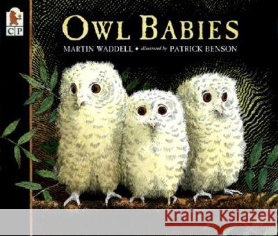 Owl Babies Martin Waddell Patrick Benson 9780763617103 Candlewick Press (MA)