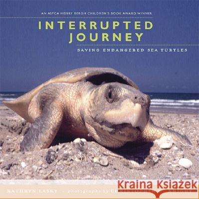 Interrupted Journey: Saving Endangered Sea Turtles Kathryn Lasky Christopher G. Knight 9780763628833 Candlewick Press (MA)