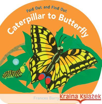 Caterpillar to Butterfly: Fold Out and Find Out Frances Barry Frances Barry 9780763642617 Candlewick Press (MA)