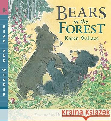 Bears in the Forest Karen Wallace Barbara Firth 9780763645229 Candlewick Press (MA)