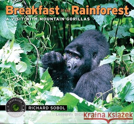 Breakfast in the Rainforest: A Visit with Mountain Gorillas Richard Sobol Richard Sobol Leonardo DiCaprio 9780763651343 Candlewick Press (MA)