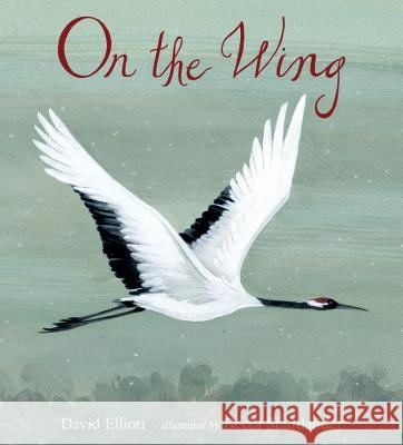 On the Wing David Elliott Becca Stadtlander 9780763653248 Candlewick Press (MA)