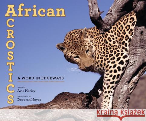 African Acrostics: A Word in Edgeways Avis Harley Deborah Noyes 9780763658182 Candlewick Press (MA)