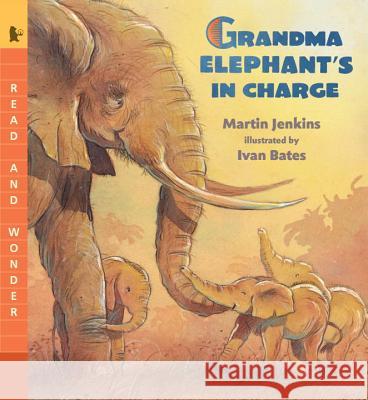 Grandma Elephant's in Charge Martin Jenkins Ivan Bates 9780763673819 Candlewick Press (MA)