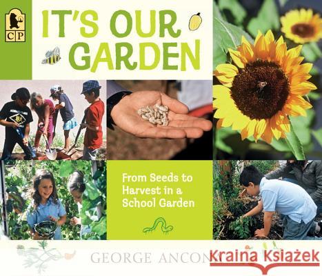 It's Our Garden: From Seeds to Harvest in a School Garden George Ancona George Ancona 9780763676919 Candlewick Press (MA)