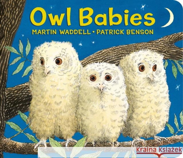 Owl Babies Martin Waddell Patrick Benson 9780763679613 Candlewick Press (MA)