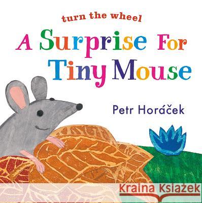 A Surprise for Tiny Mouse Petr Horacek Petr Horacek 9780763679675 Candlewick Press (MA)