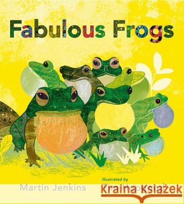 Fabulous Frogs Martin Jenkins Tim Hopgood 9780763681005 Candlewick Press (MA)