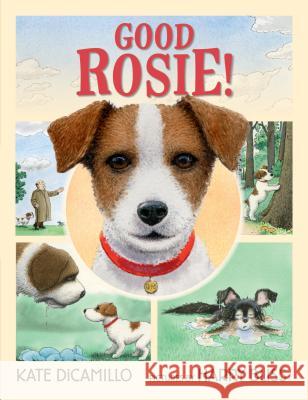 Good Rosie! Kate DiCamillo Harry Bliss 9780763689797 Candlewick Press (MA)