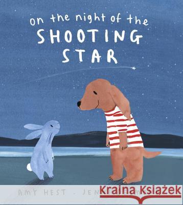 On the Night of the Shooting Star Amy Hest Jenni Desmond 9780763691547