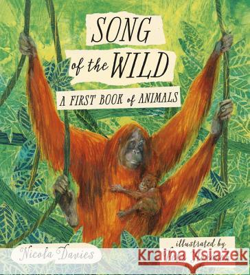 Song of the Wild: A First Book of Animals Nicola Davies Petr Horacek 9780763691608 Candlewick Press (MA)