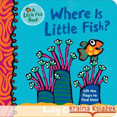 Where Is Little Fish? Lucy Cousins Lucy Cousins 9780763694869 Candlewick Press (MA)
