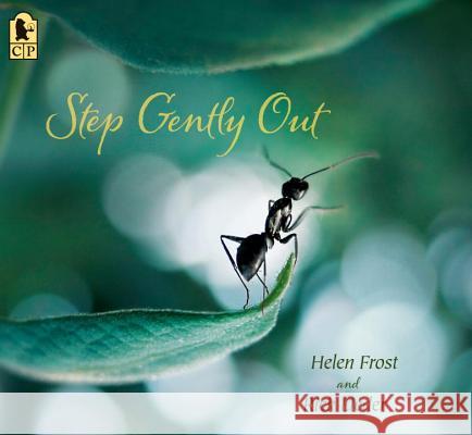 Step Gently Out Helen Frost Rick Lieder 9780763695170