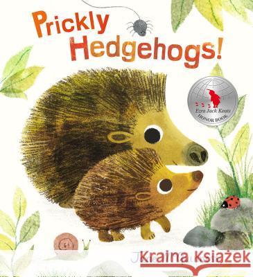 Prickly Hedgehogs! Jane McGuinness Jane McGuinness 9780763698805 Candlewick Press (MA)