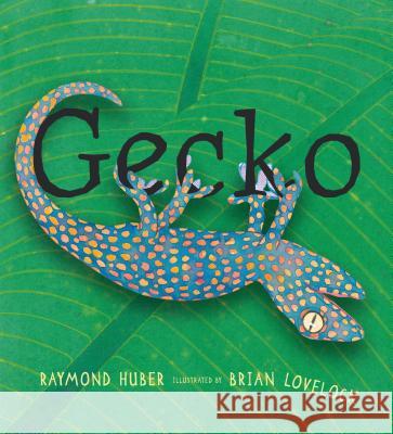 Gecko Raymond Huber Brian Lovelock 9780763698850 Candlewick Press (MA)