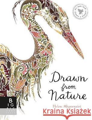 Drawn from Nature Helen Ahpornsiri Helen Ahpornsiri 9780763698980 Big Picture Press