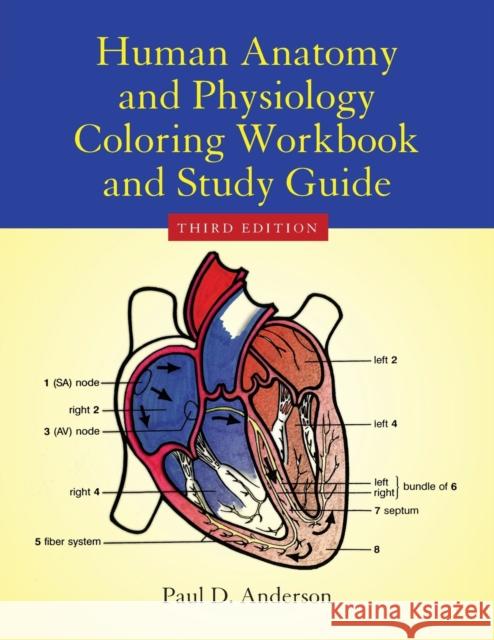 Human Anatomy & Physiology Coloring Workbook Anderson, Paul D. 9780763700546