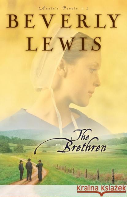 The Brethren Beverly Lewis 9780764201073 Bethany House Publishers