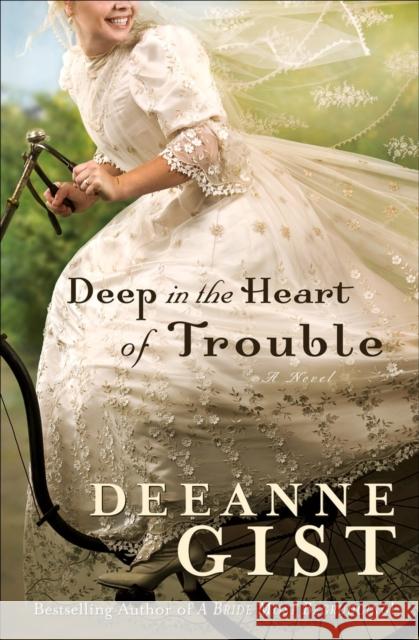 Deep in the Heart of Trouble Deeanne Gist 9780764202261 Bethany House Publishers