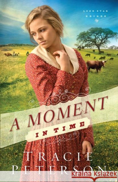 A Moment in Time Tracie Peterson 9780764210594 Bethany House Publishers