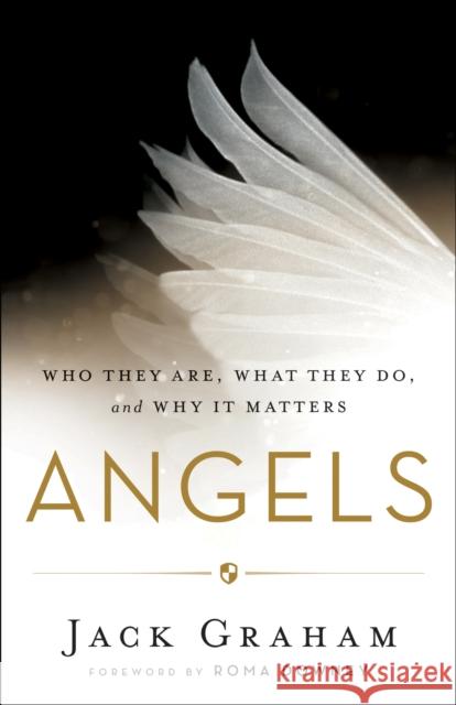 Angels – Who They Are, What They Do, and Why It Matters Roma Downey 9780764213564 Baker Publishing Group