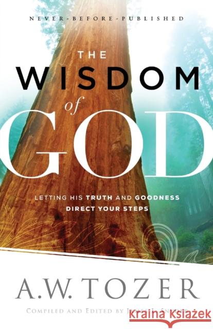 The Wisdom of God – Letting His Truth and Goodness Direct Your Steps James L. Snyder 9780764218088 Bethany House Publishers