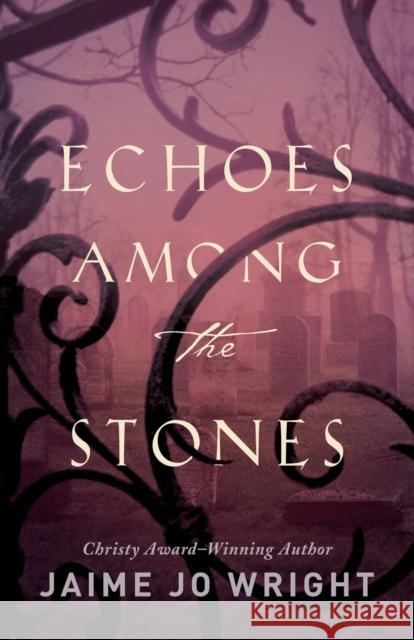 Echoes Among the Stones Jaime Jo Wright 9780764233883