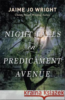 Night Falls on Predicament Avenue Jaime Jo Wright 9780764241451