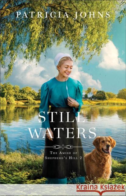 Still Waters Patricia Johns 9780764244186 Bethany House Publishers