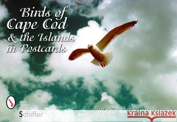 Birds of Cape Cod & the Islands in Postcards  9780764324482 Schiffer Publishing