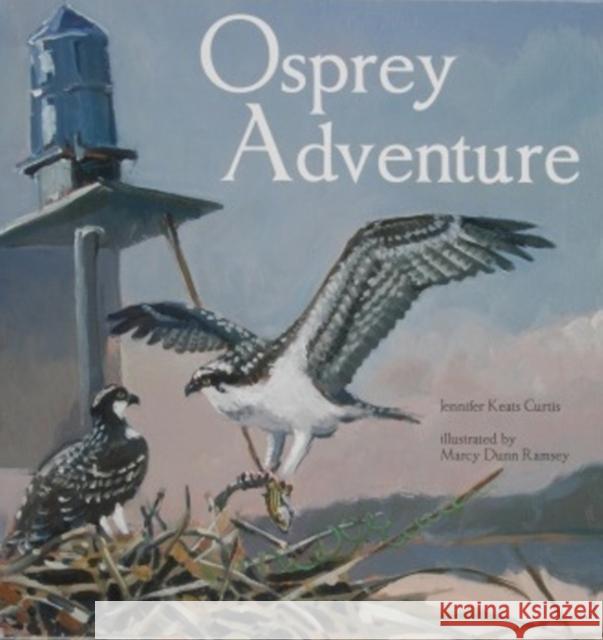 Osprey Adventure Jennifer Keats Curtis 9780764336843 Schiffer Publishing