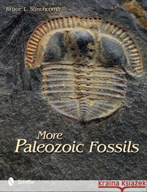 More Paleozoic Fossils Stinchcomb, Bruce L. 9780764340307 Schiffer Publishing