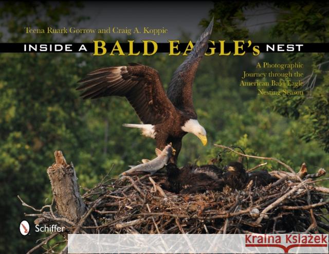 Inside a Bald Eagle's Nest: A Photographic Journey Through the American Bald Eagle Nesting Season Gorrow, Teena Ruark 9780764344640 Schiffer Publishing
