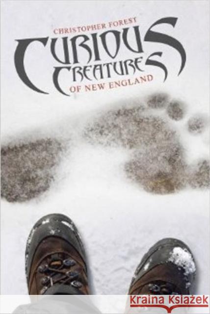 Curious Creatures of New England Forest, Christopher 9780764344664